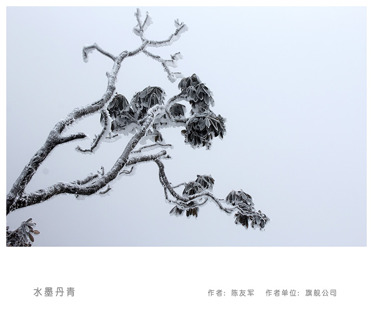 三等奖  水墨丹青  陈友军  器件公司