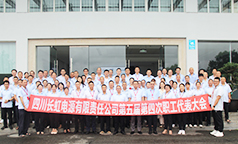 电源公司举行第五届第四次职工代表大会