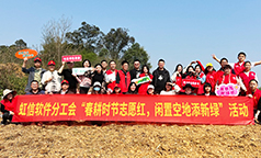 虹信软件分工会：春耕时节志愿红，闲置空地添新绿